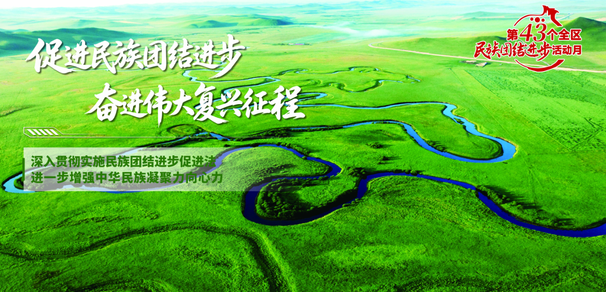 促进民族团结进步 奋进伟大复兴征程